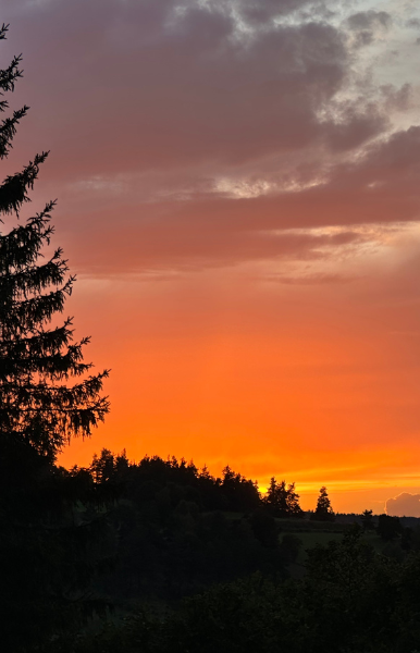 design sans titre (5) design sans titre (5)