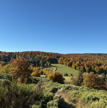 design sans titre (9) design sans titre (9)