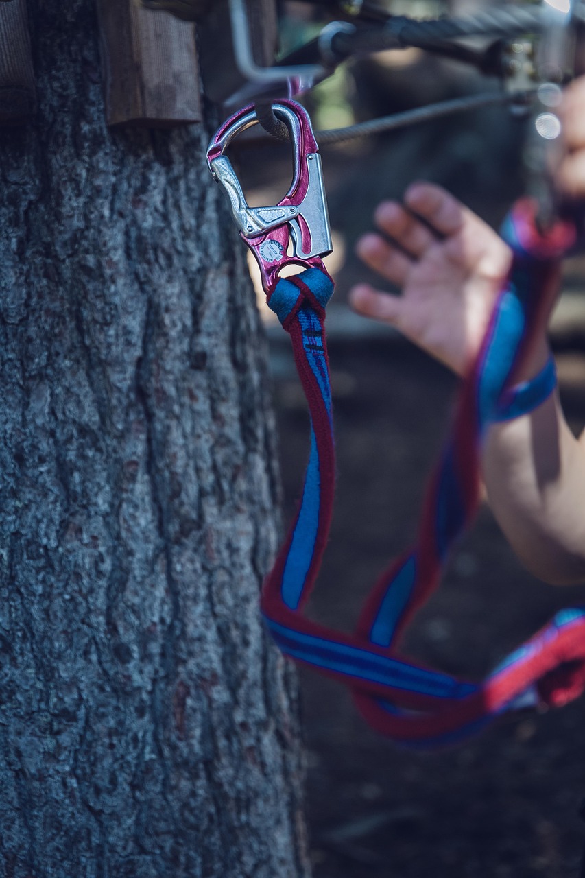 Parcours accrobranche